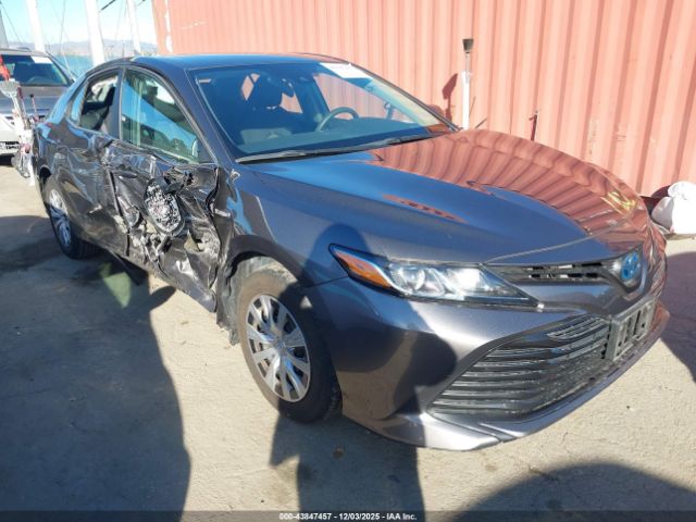 2020 TOYOTA CAMRY 4T1C31AK9LU543348