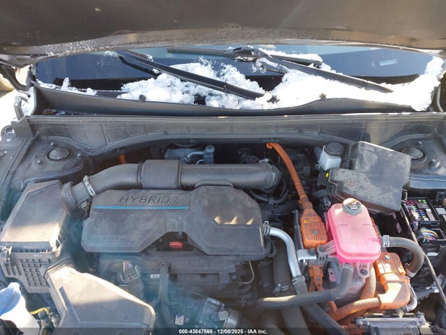 KNDRHDLG6R5248477 KIA Sorento Hybrid Ex