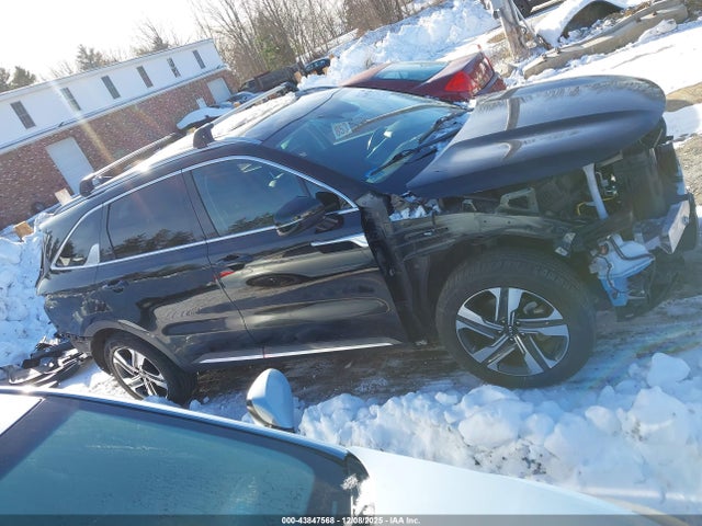 KNDRHDLG6R5248477 KIA Sorento Hybrid Ex