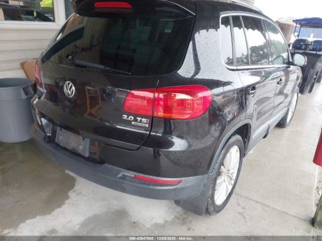 2014 VOLKSWAGEN TIGUAN WVGBV3AX3EW596678 Photo 3