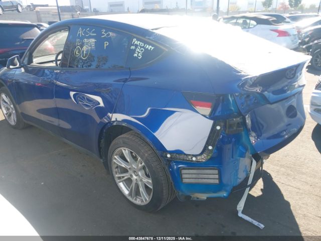 2023 TESLA MODEL Y 7SAYGDEE8PF928387 Photo 2