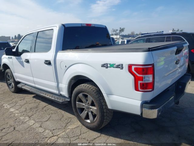 2019 FORD F-150 1FTEW1EP7KKD76556 Photo 2