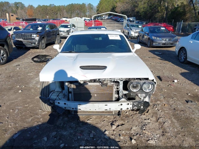 Dodge Challenger R/t 2019 2C3CDZBTXKH719482 Image 13