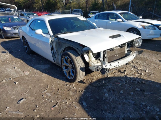 Dodge Challenger R/t 2019 2C3CDZBTXKH719482 Image 6