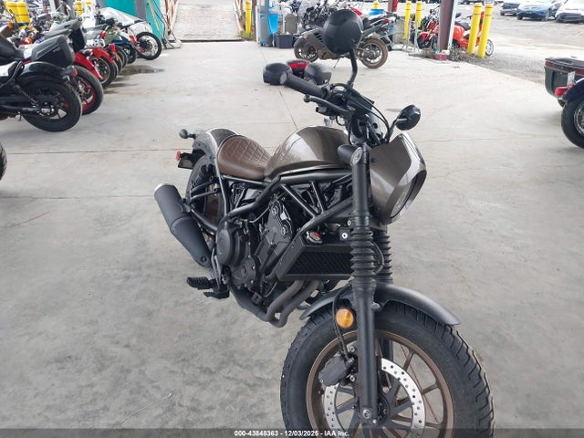 2023 HONDA CMX500 MLHPC5615P5601191