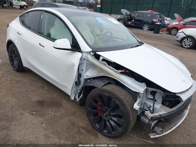 2023 TESLA MODEL Y 7SAYGDEF4PF601445 Photo 0