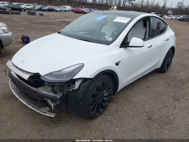 2023 TESLA MODEL Y 7SAYGDEF4PF601445 Photo 1