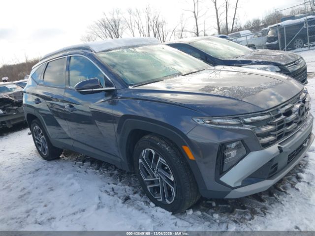 2025 HYUNDAI TUCSON HYBRID KM8JEDD12SU255076