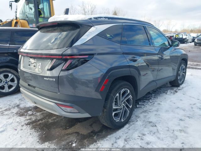 2025 HYUNDAI TUCSON HYBRID KM8JEDD12SU255076 Photo 3