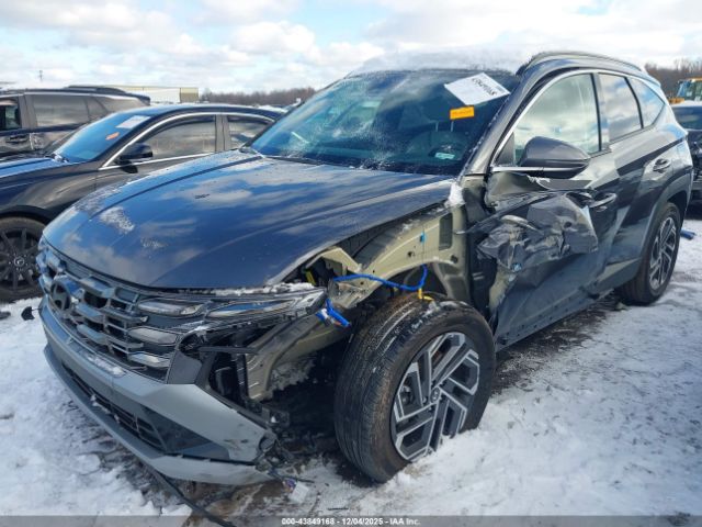 2025 HYUNDAI TUCSON HYBRID KM8JEDD12SU255076 Photo 5