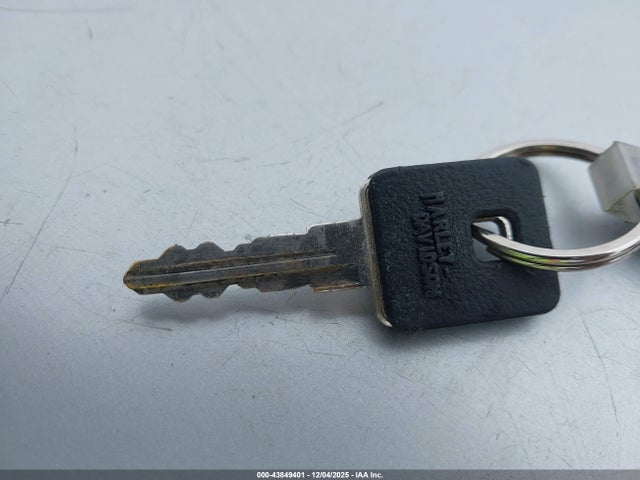 2018 HARLEY-DAVIDSON XL883 1HD4LE215JC433565 Photo 10