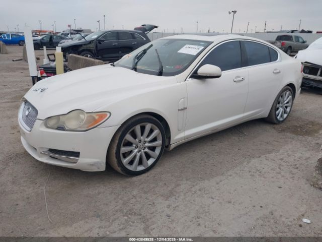 2010 JAGUAR XF SAJWA0GB7ALR63767 Photo 1