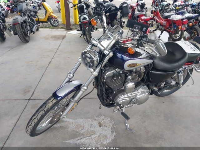 2009 HARLEY-DAVIDSON XL1200 1HD1CT3149K455385 Photo 1