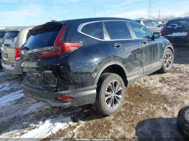 2020 HONDA CR-V 2HKRW2H80LH616509 Photo 3