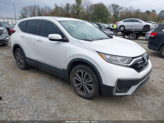 2020 HONDA CR-V 7FARW1H86LE010323