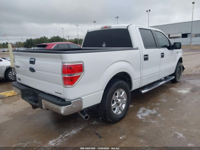 2013 FORD F-150 1FTEW1CM2DFA91039 Photo 3