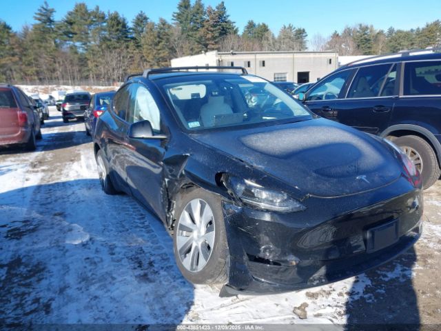 2023 TESLA MODEL Y 7SAYGDEE2PA186128 Photo 5