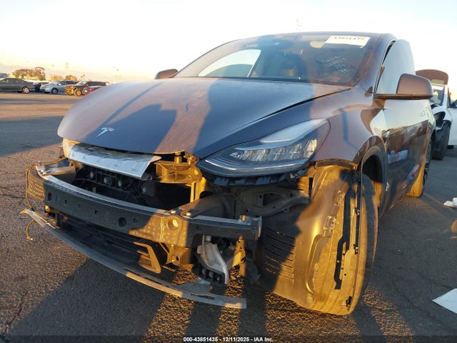 2023 TESLA MODEL Y 7SAYGDEE9PA028479 Photo 5