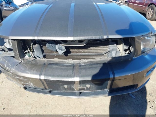 2005 FORD MUSTANG 1ZVHT82H655222190 Photo 5