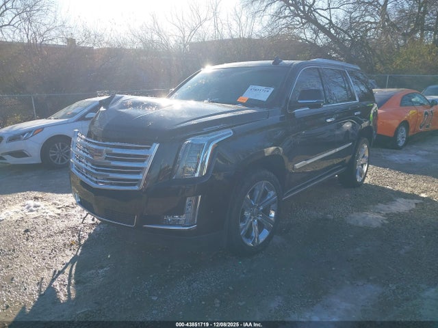 2017 CADILLAC ESCALADE 1GYS4DKJ8HR261291 Photo 1