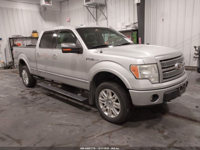 2010 FORD F-150 1FTFW1EV7AFB79946