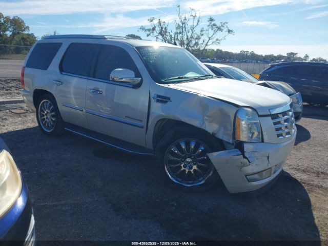2011 CADILLAC ESCALADE 1GYS3AEF2BR400511