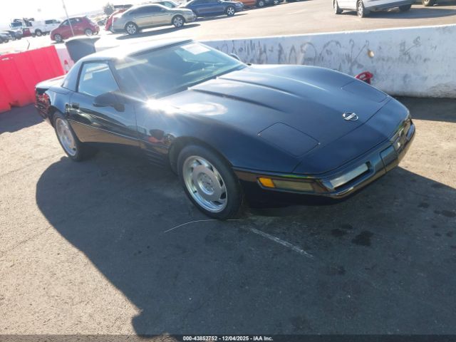1991 CHEVROLET CORVETTE 1G1YY3383M5105566