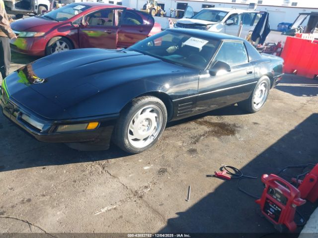 1991 CHEVROLET CORVETTE 1G1YY3383M5105566 Photo 1