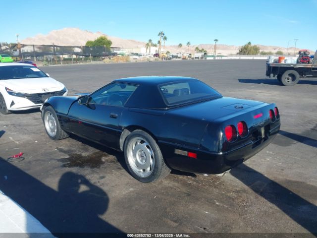 1991 CHEVROLET CORVETTE 1G1YY3383M5105566 Photo 2