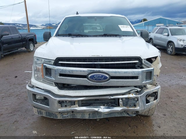 Ford F-150 Xlt 2019 1FTEW1EP1KKC15636 Image 12