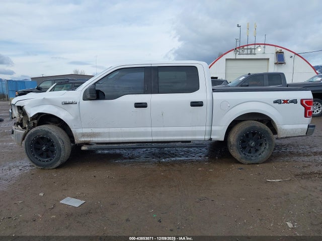 Ford F-150 Xlt 2019 1FTEW1EP1KKC15636 Image 14