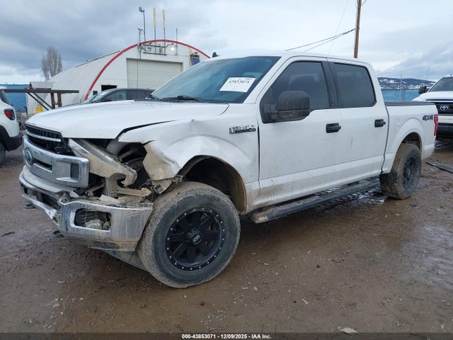 Ford F-150 Xlt 2019 1FTEW1EP1KKC15636 Image 2