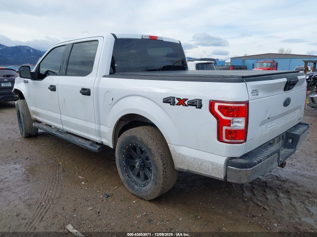 Ford F-150 Xlt 2019 1FTEW1EP1KKC15636 Image 3