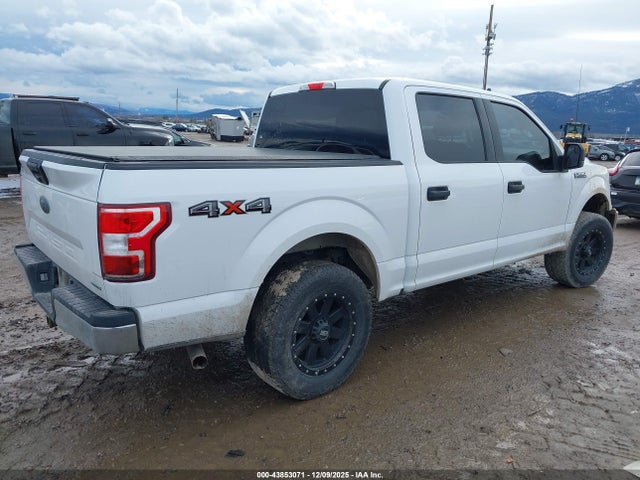 Ford F-150 Xlt 2019 1FTEW1EP1KKC15636 Image 4