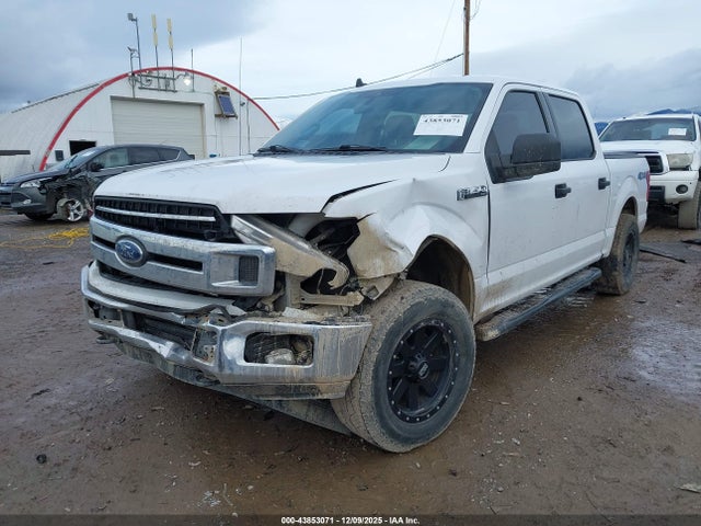 Ford F-150 Xlt 2019 1FTEW1EP1KKC15636 Image 6