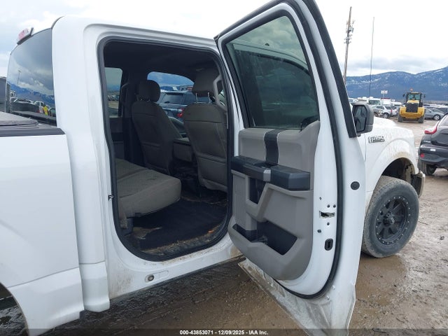 Ford F-150 Xlt 2019 1FTEW1EP1KKC15636 Image 8