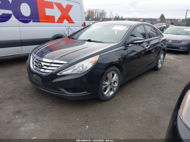 2011 HYUNDAI SONATA 5NPEC4AC1BH065829 Photo 1