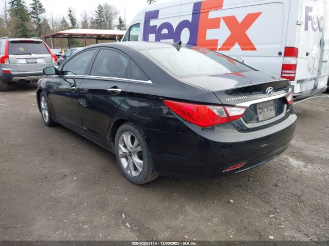 2011 HYUNDAI SONATA 5NPEC4AC1BH065829 Photo 2
