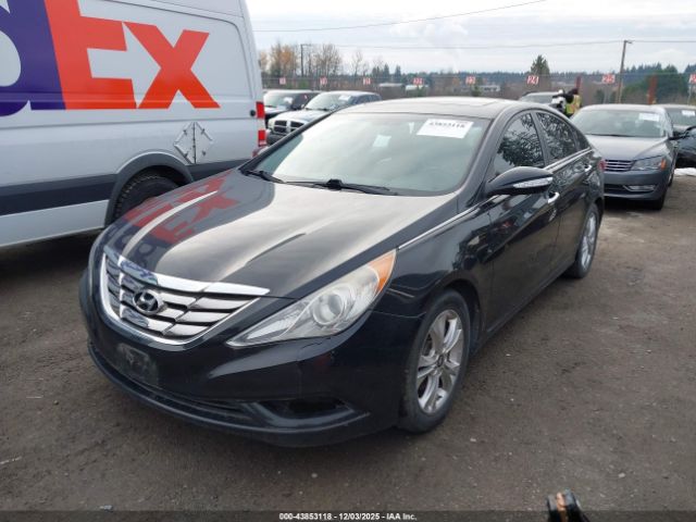 2011 HYUNDAI SONATA 5NPEC4AC1BH065829 Photo 5