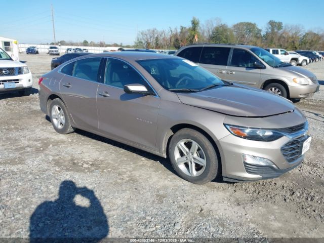 2023 CHEVROLET MALIBU 1G1ZD5ST2PF237959