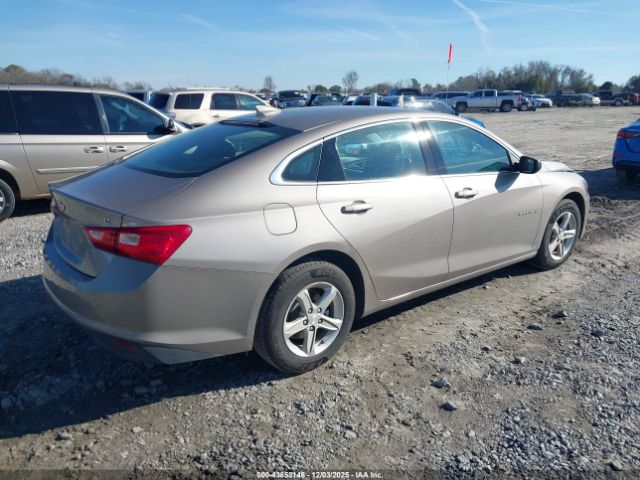 2023 CHEVROLET MALIBU 1G1ZD5ST2PF237959 Photo 3