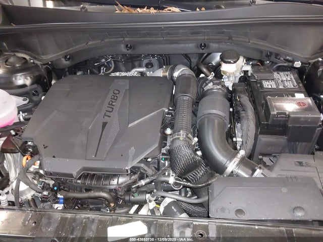Продаж на аукціоні авто 2025 Kia Sorento Ex, vin: 5XYRHDJF7SG383457, номер лоту: 43853730