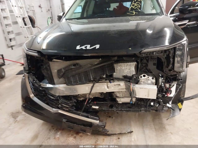 Продаж на аукціоні авто 2025 Kia Sorento Ex, vin: 5XYRHDJF7SG383457, номер лоту: 43853730