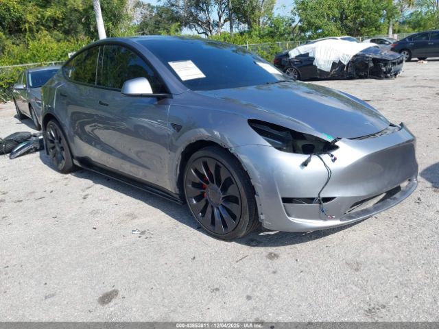 2025 TESLA MODEL Y 7SAYGDEF5SA342275