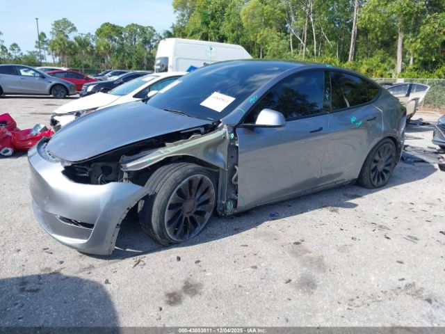 2025 TESLA MODEL Y 7SAYGDEF5SA342275 Photo 1