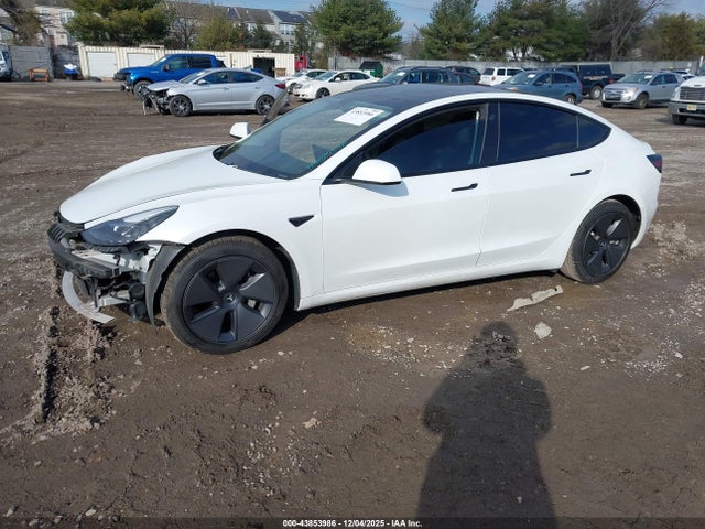 2021 TESLA MODEL 3 5YJ3E1EBXMF901978 Photo 1