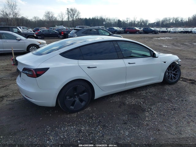 2021 TESLA MODEL 3 5YJ3E1EBXMF901978 Photo 3