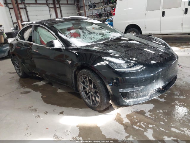 2019 TESLA MODEL 3 5YJ3E1EB3KF390515