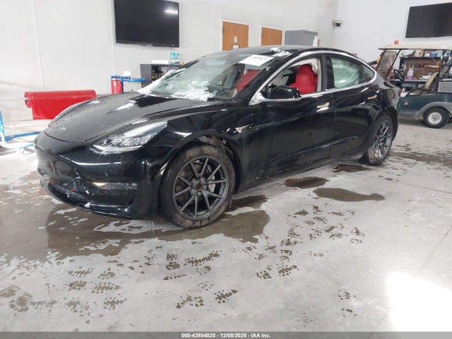 2019 TESLA MODEL 3 5YJ3E1EB3KF390515 Photo 1