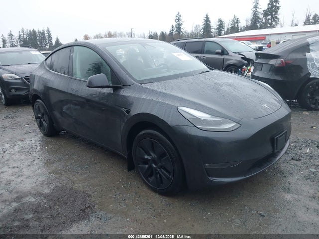 2024 TESLA MODEL Y 7SAYGDEE0RF195108 Photo 0